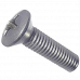 Oval Head Screw