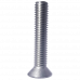 Oval Head Screw